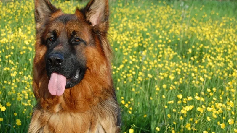 Leczenie jaskry u dzieci – nowoczesna opieka okulistyczna w Krakowie